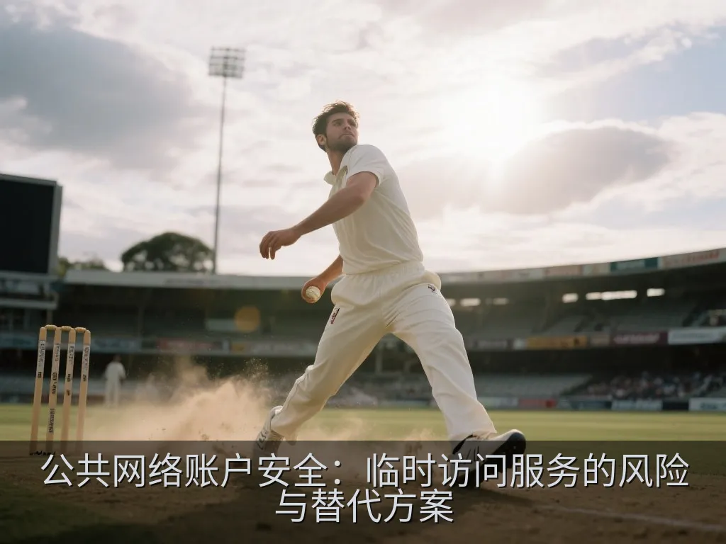 公共网络账户安全：临时访问服务的风险与替代方案